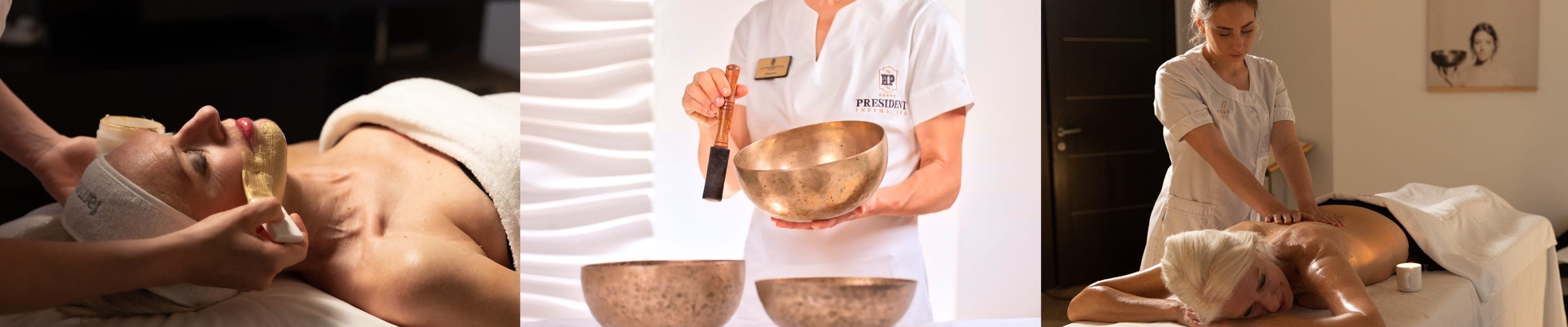 Hotel President Terme banner image
